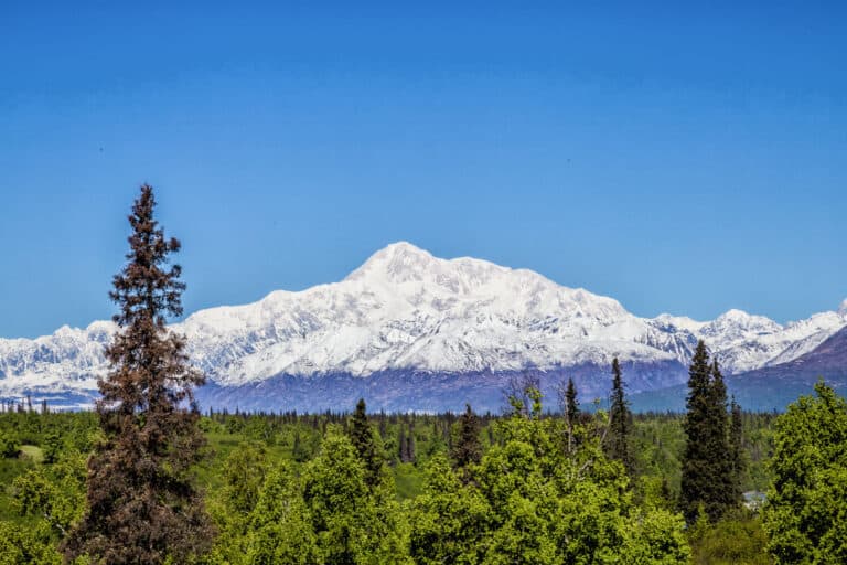 Best Time To Visit Alaska: Month by Month Breakdown