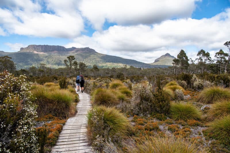 The Overland Track hiking path in Tasmania.
