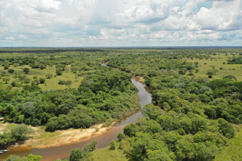 Pantanal Brazil Guide