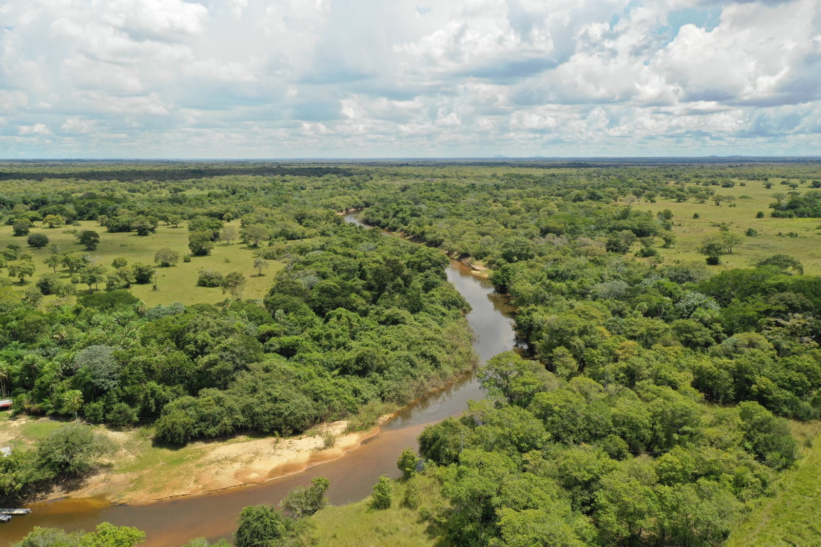 The best time to visit the Pantanal - Bonito Way