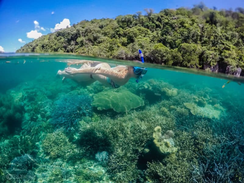 Lina Stock of the Divergent Travelers Snorkeling in the Philippines