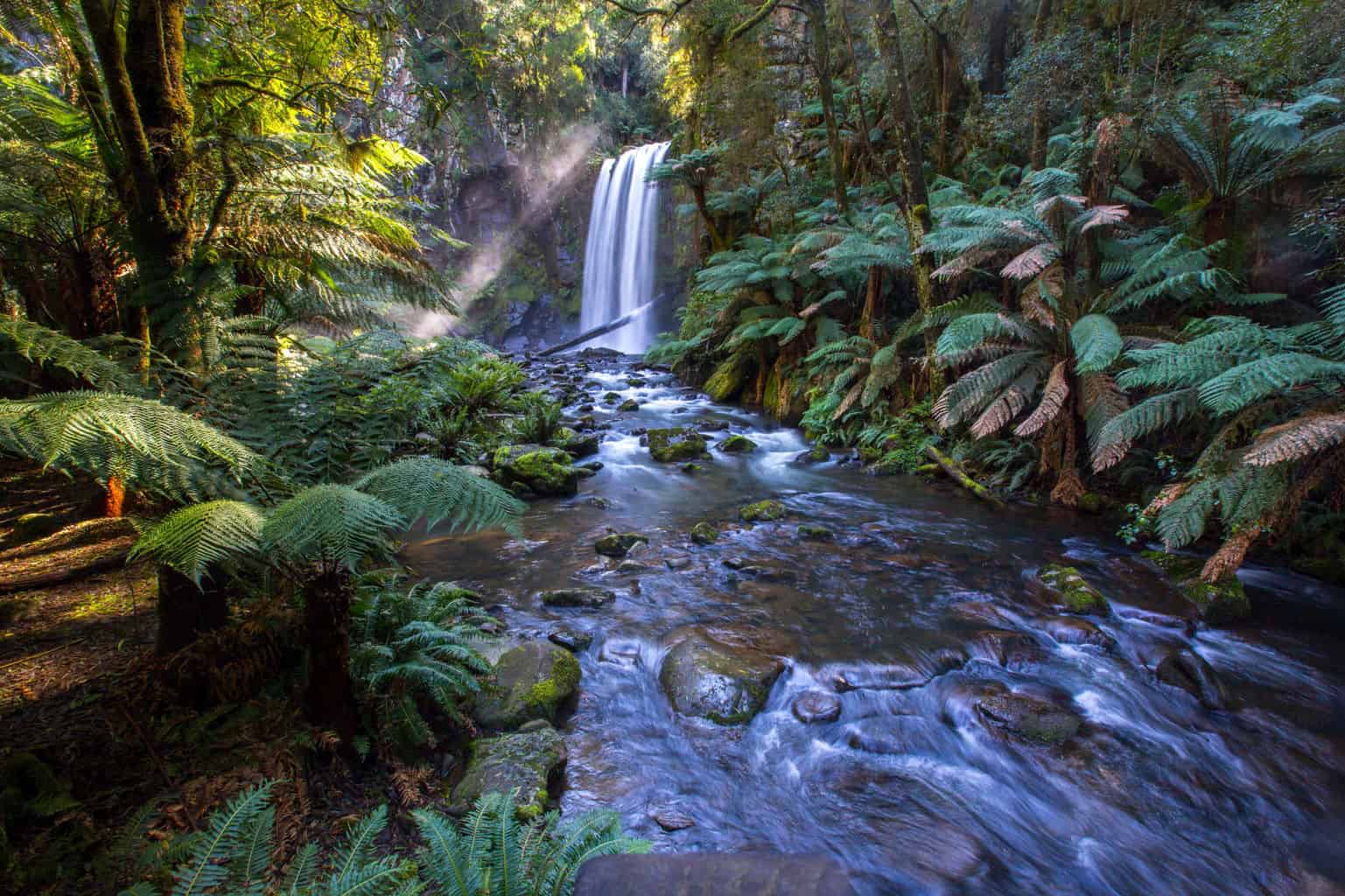 El Yunque Rainforest in Puerto Rico