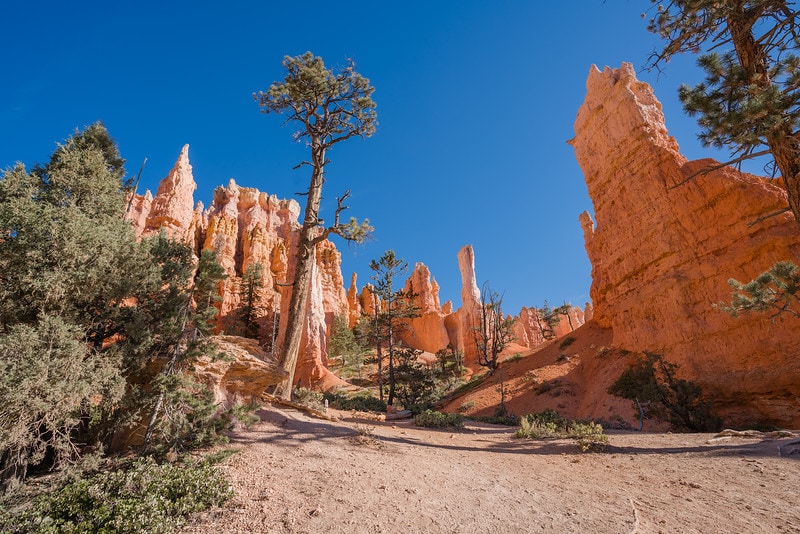 Tips for Hiking the Queens Garden Trail in Bryce Canyon Story