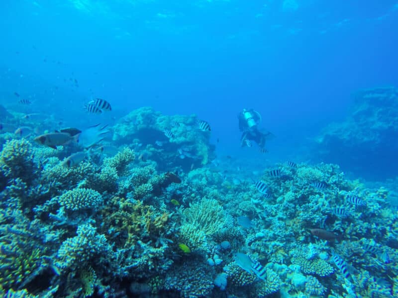 Scuba Diving Hurghada