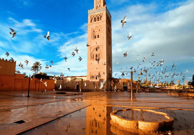 Superb Things to Do in Marrakech