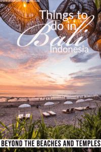 21 EPIC Things to Do in Bali Pinterest Pin