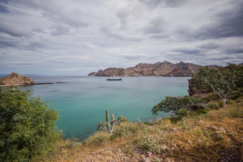 UnCruise Adventures in the Sea of Cortez
