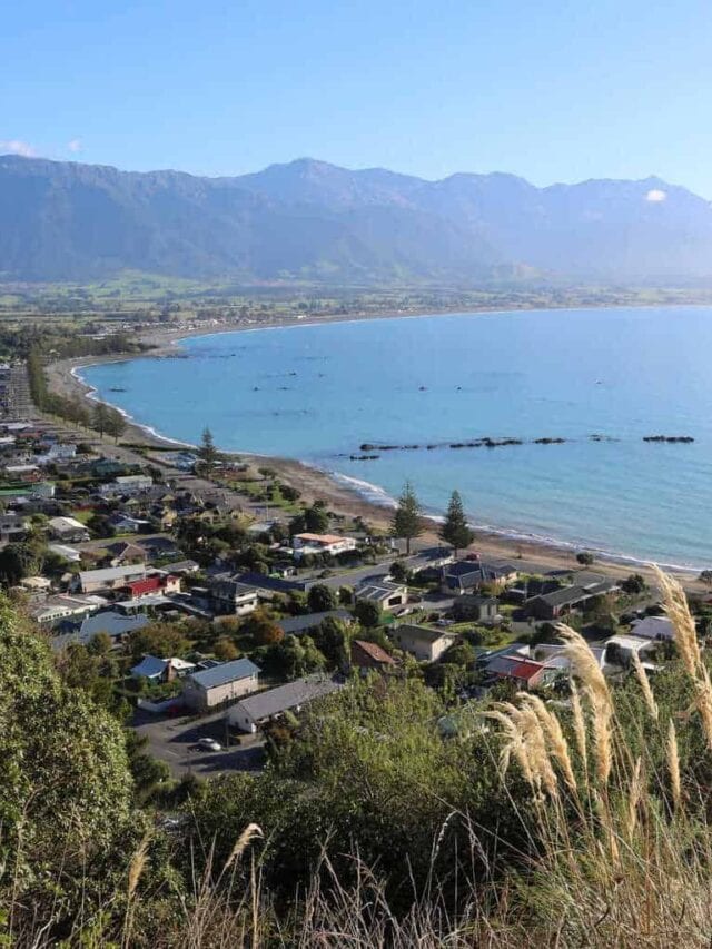 21 EPIC Things To Do In Kaikoura, New Zealand Story Divergent Travelers