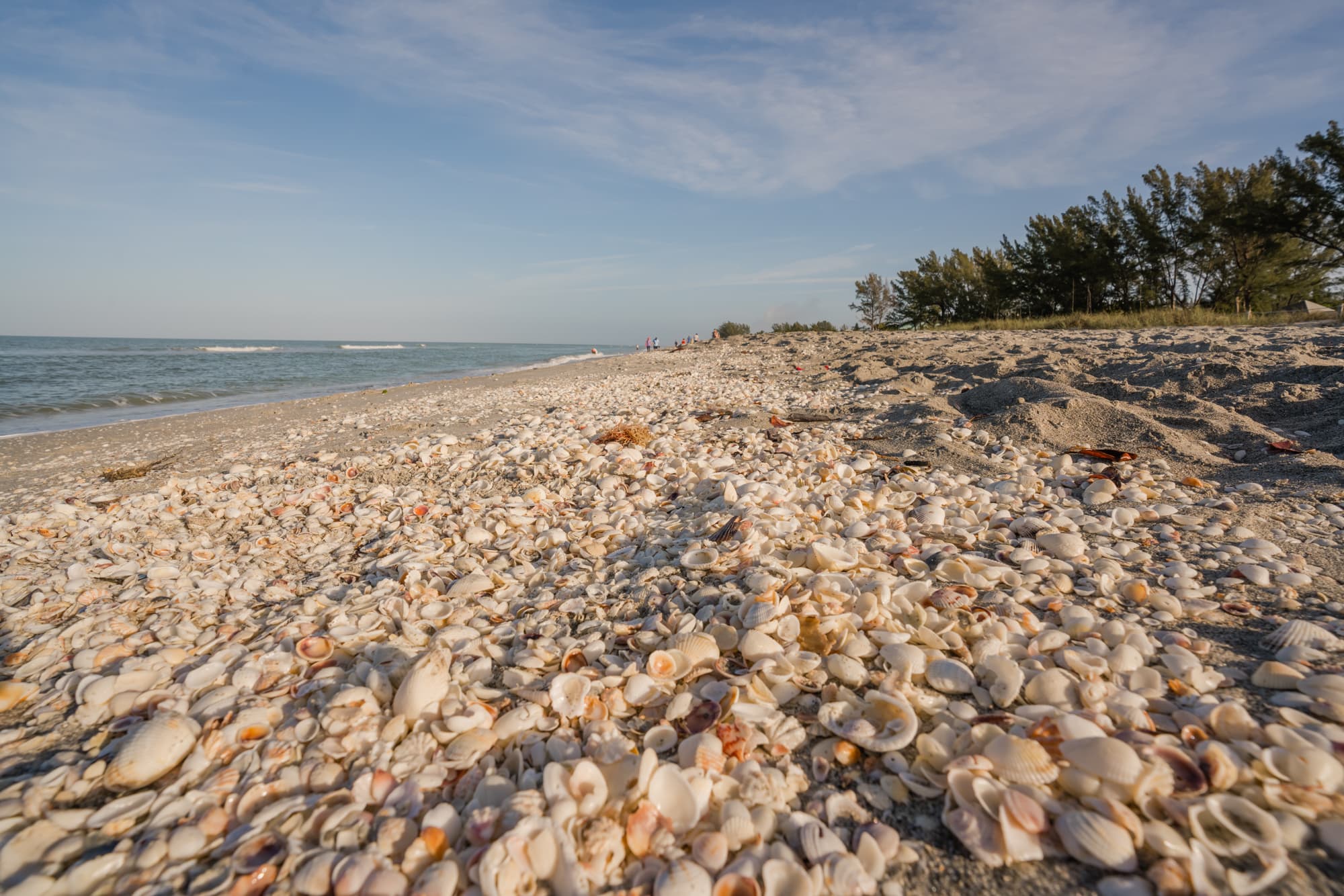 What To do in Sanibel Island, Florida Story - Divergent Travelers