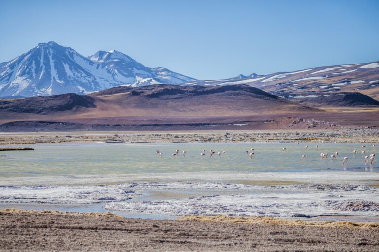 Ultimate Chile Travel Guide (Planning, Tips & Advice)