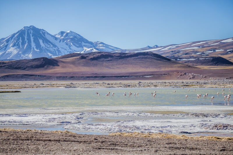 High Chilean Altiplano in South America