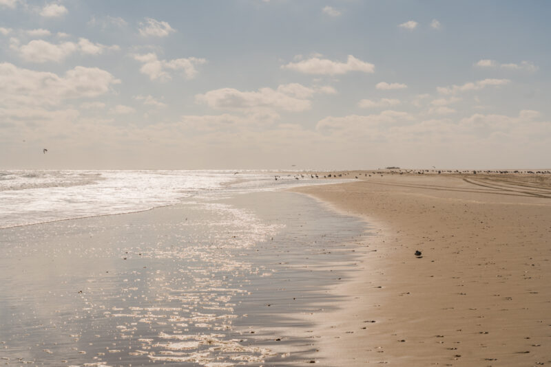 The Best of the Crystal Coast NC (Itinerary, Things to Do & Tips)