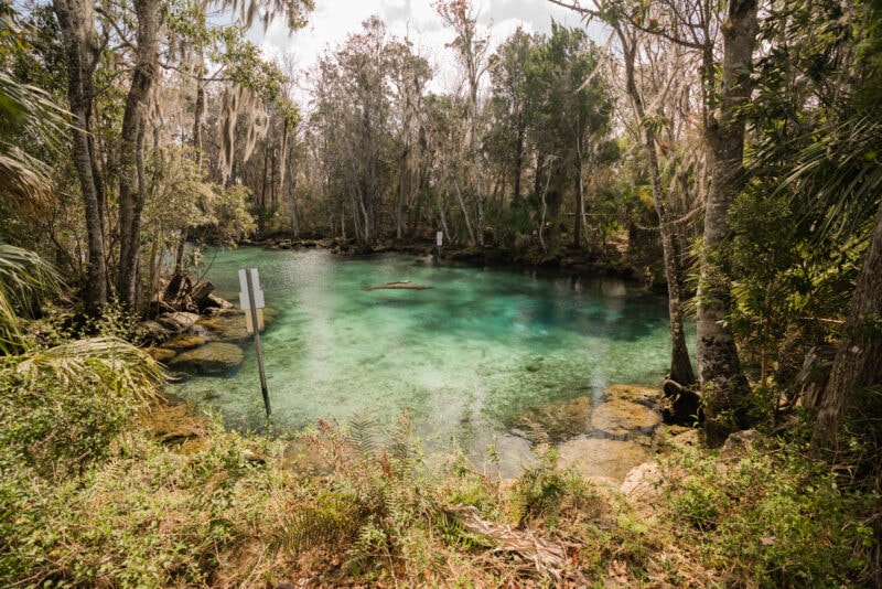 Three Sister Springs, Crystal River, Florida.