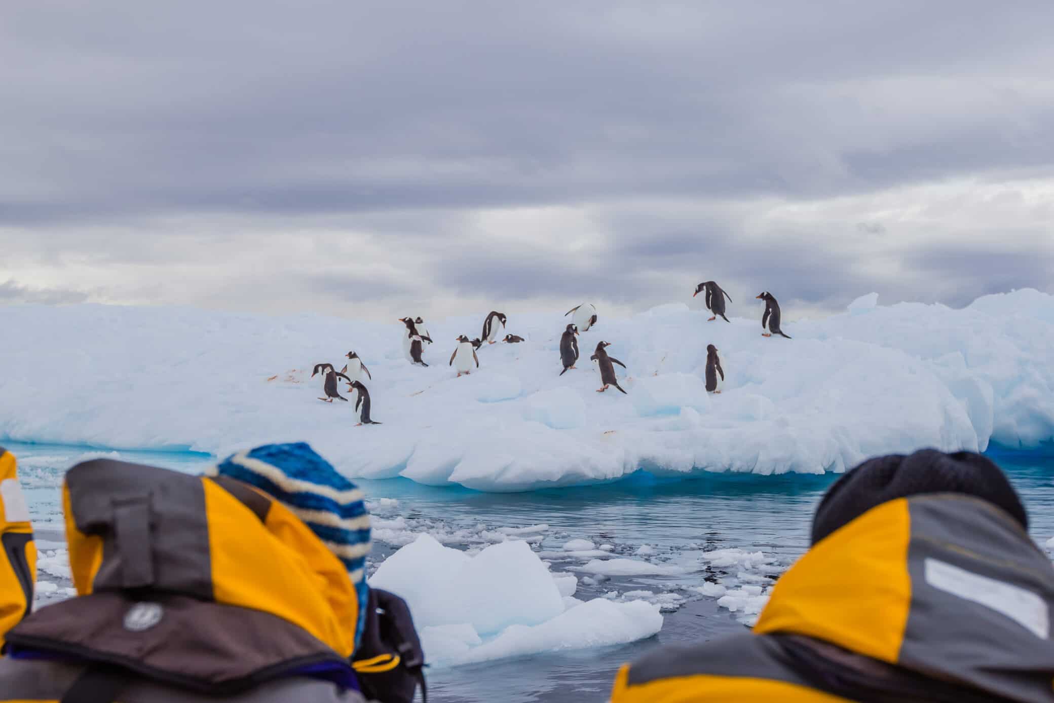 Visit Antarctica Tourism
