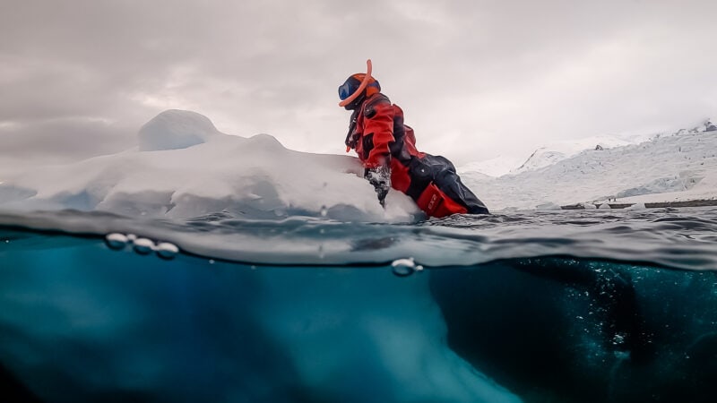 Snorkeling in Antarctica