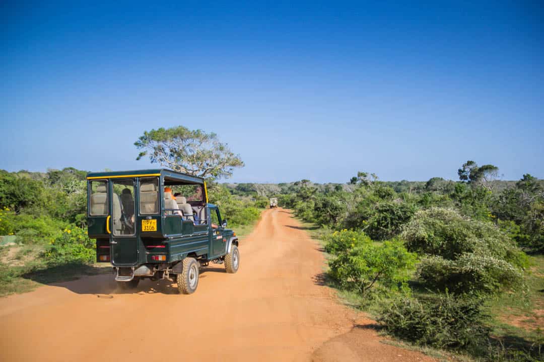 yala safari guide