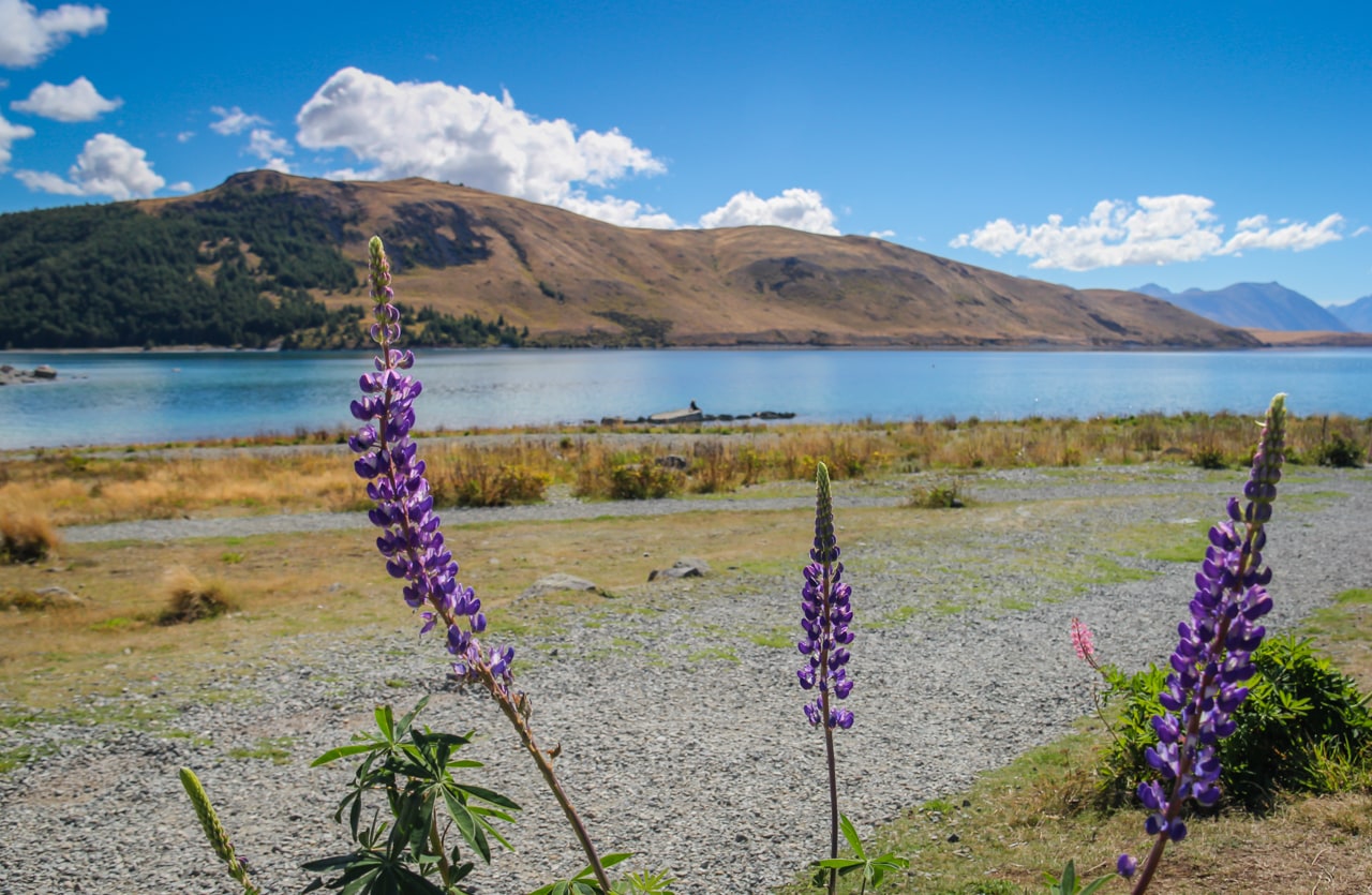 Lake Tekapo New Zealand