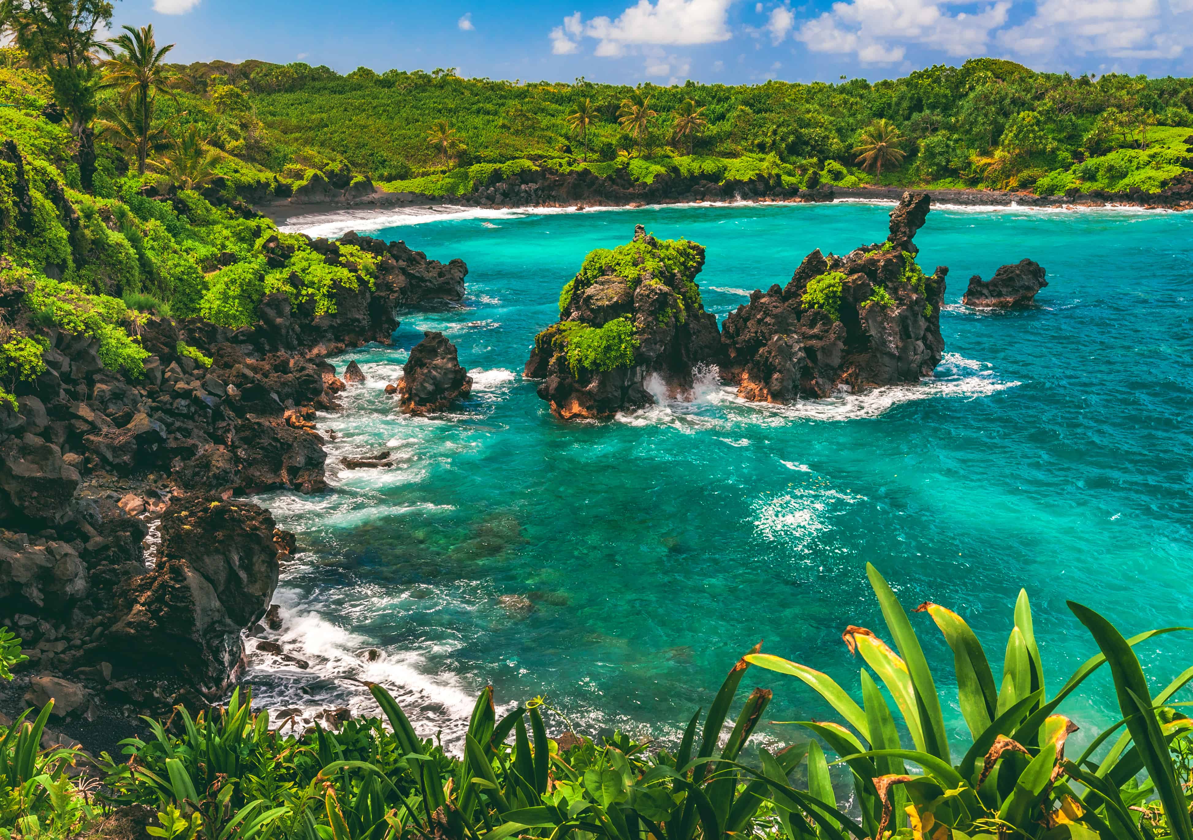 beach excursions in maui